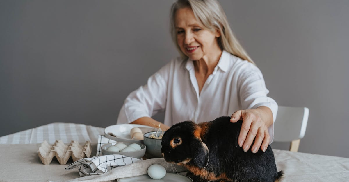découvrez nos conseils pour prendre soin de votre lapin : alimentation, habitat, santé et comportement. tout ce qu'il faut savoir pour assurer le bien-être de votre lapin de compagnie.
